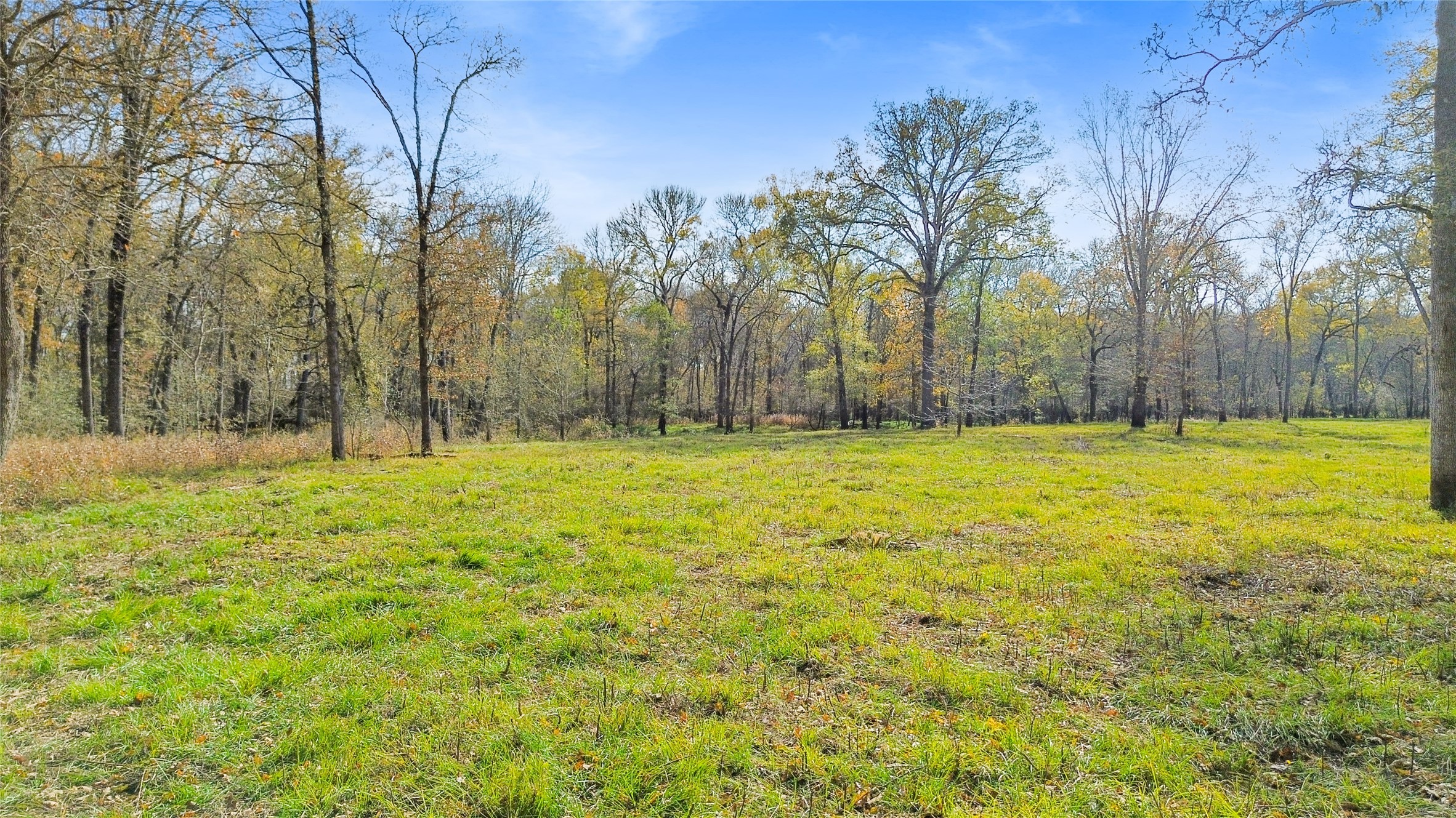 1350 Centerville Tx 75833 Centerville, TX 75833 - Photo 13 of 34 a view of swimming pool with trees in the background