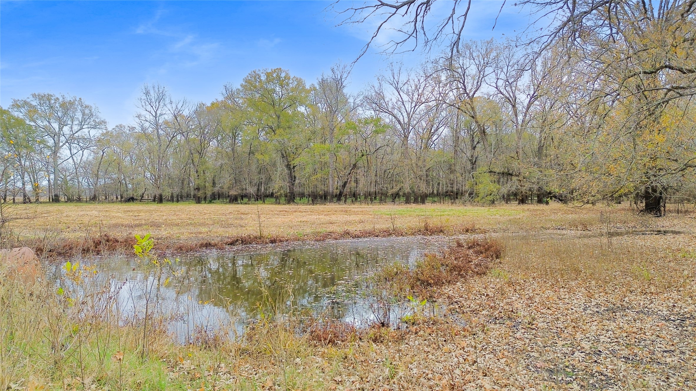1350 Centerville Tx 75833 Centerville, TX 75833 - Photo 14 of 34 a view of a yard with a tree