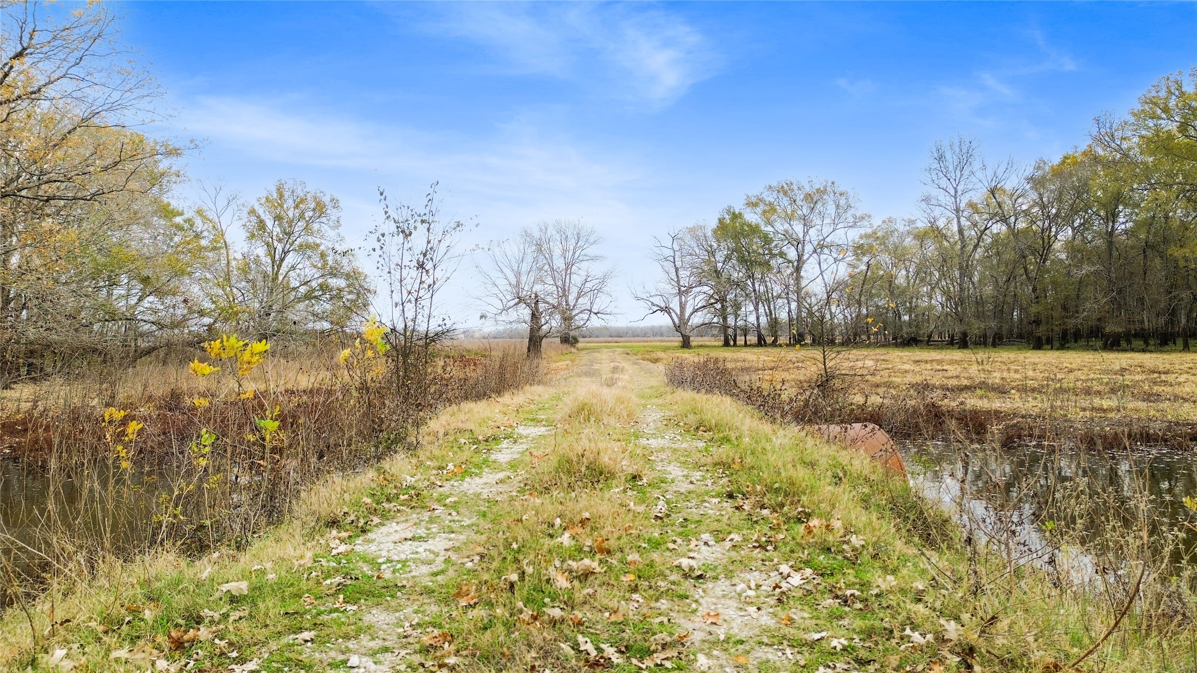 1350 Centerville Tx 75833 Centerville, TX 75833 - Photo 15 of 34 a view of yard with trees