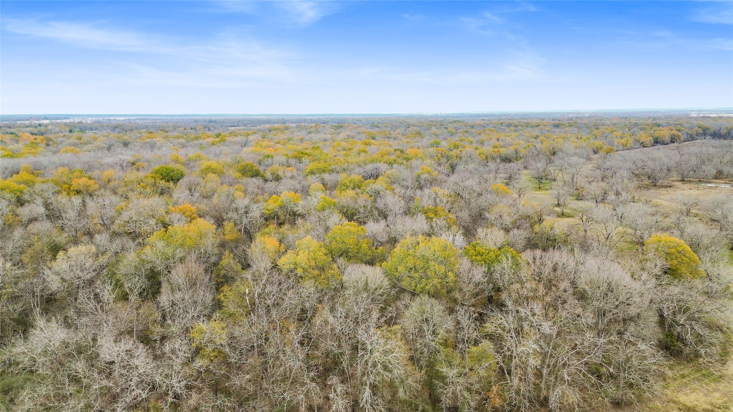 1350 Centerville Tx 75833 Centerville, TX 75833 - Photo 18 of 34 a view of city and ocean