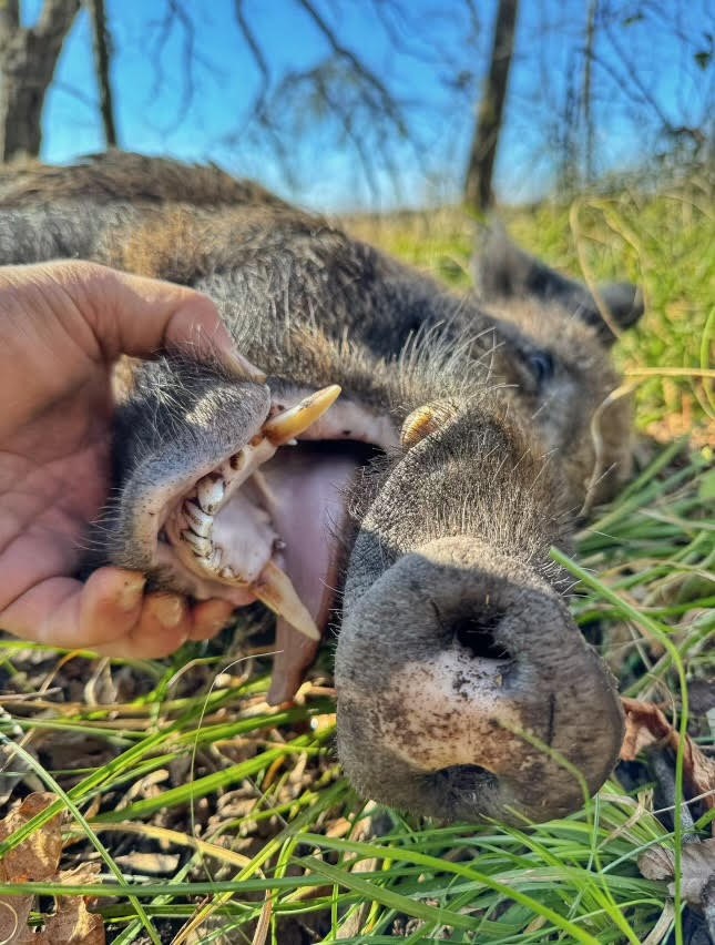 1350 Centerville Tx 75833 Centerville, TX 75833 - Photo 25 of 34 a view of a backyard of the house