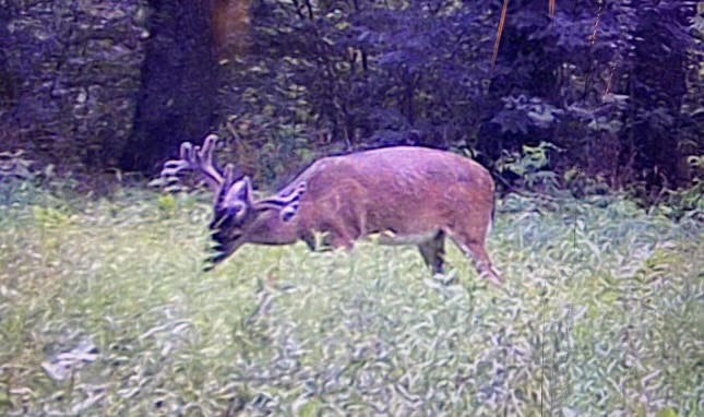 1350 Centerville Tx 75833 Centerville, TX 75833 - Photo 26 of 34 a view of a yard with an umbrella