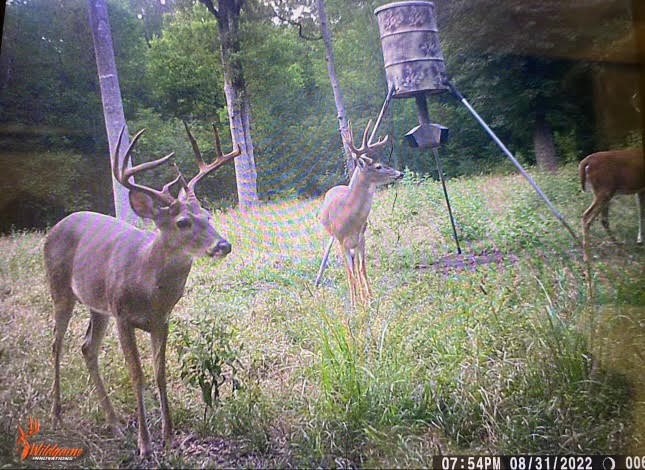 1350 Centerville Tx 75833 Centerville, TX 75833 - Photo 27 of 34