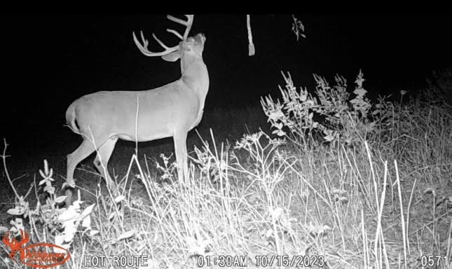 1350 Centerville Tx 75833 Centerville, TX 75833 - Photo 30 of 34 a close view of a table in a patio
