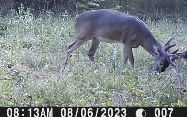 $3,500,000 | 1350 Centerville Tx 75833, Centerville, TX 75833