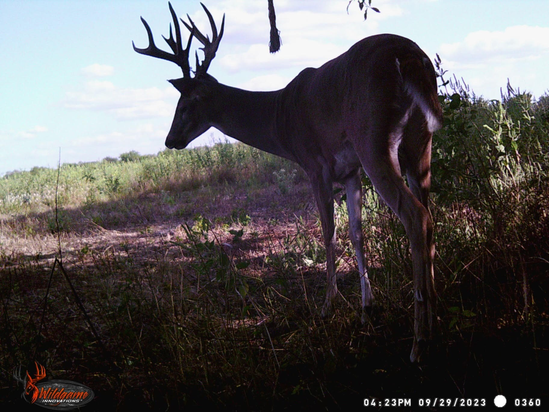 1350 Centerville Tx 75833 Centerville, TX 75833 - Photo 32 of 34 a view of a yard in front of the house