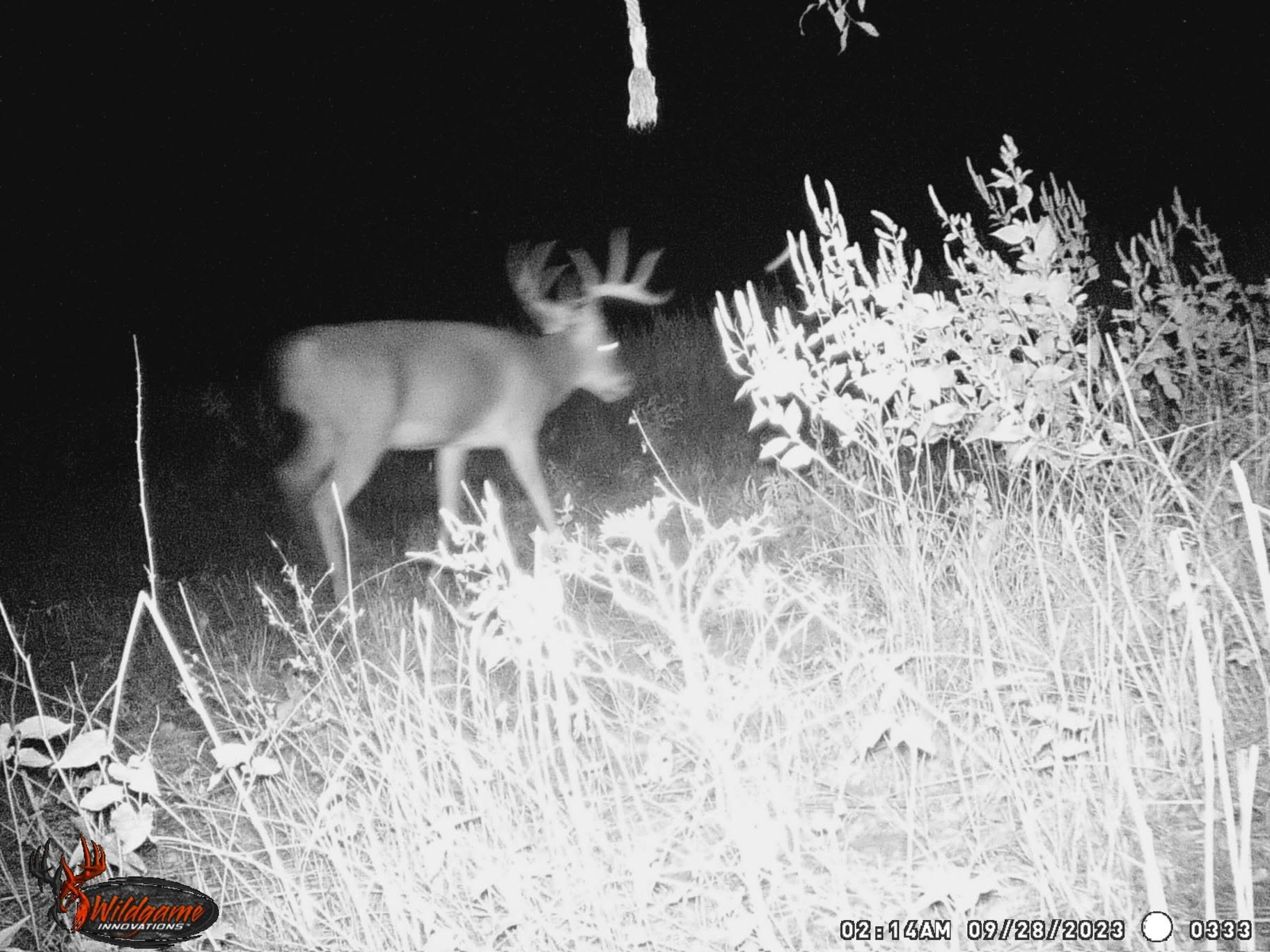 1350 Centerville Tx 75833 Centerville, TX 75833 - Photo 33 of 34 a view of a workspace