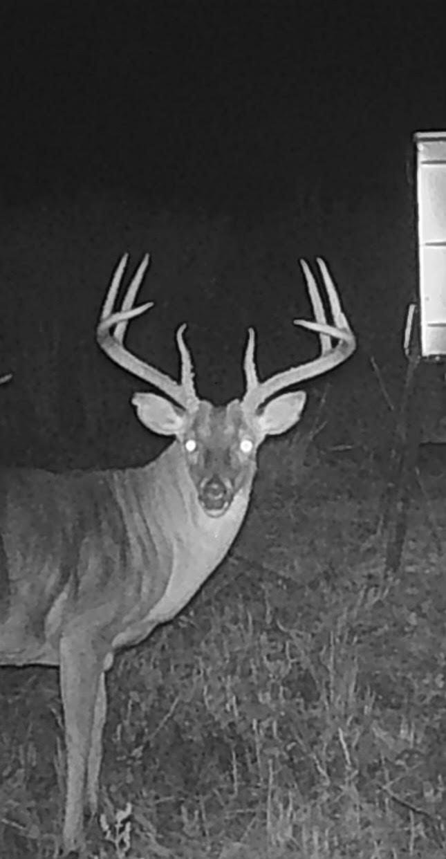 1350 Centerville Tx 75833 Centerville, TX 75833 - Photo 34 of 34