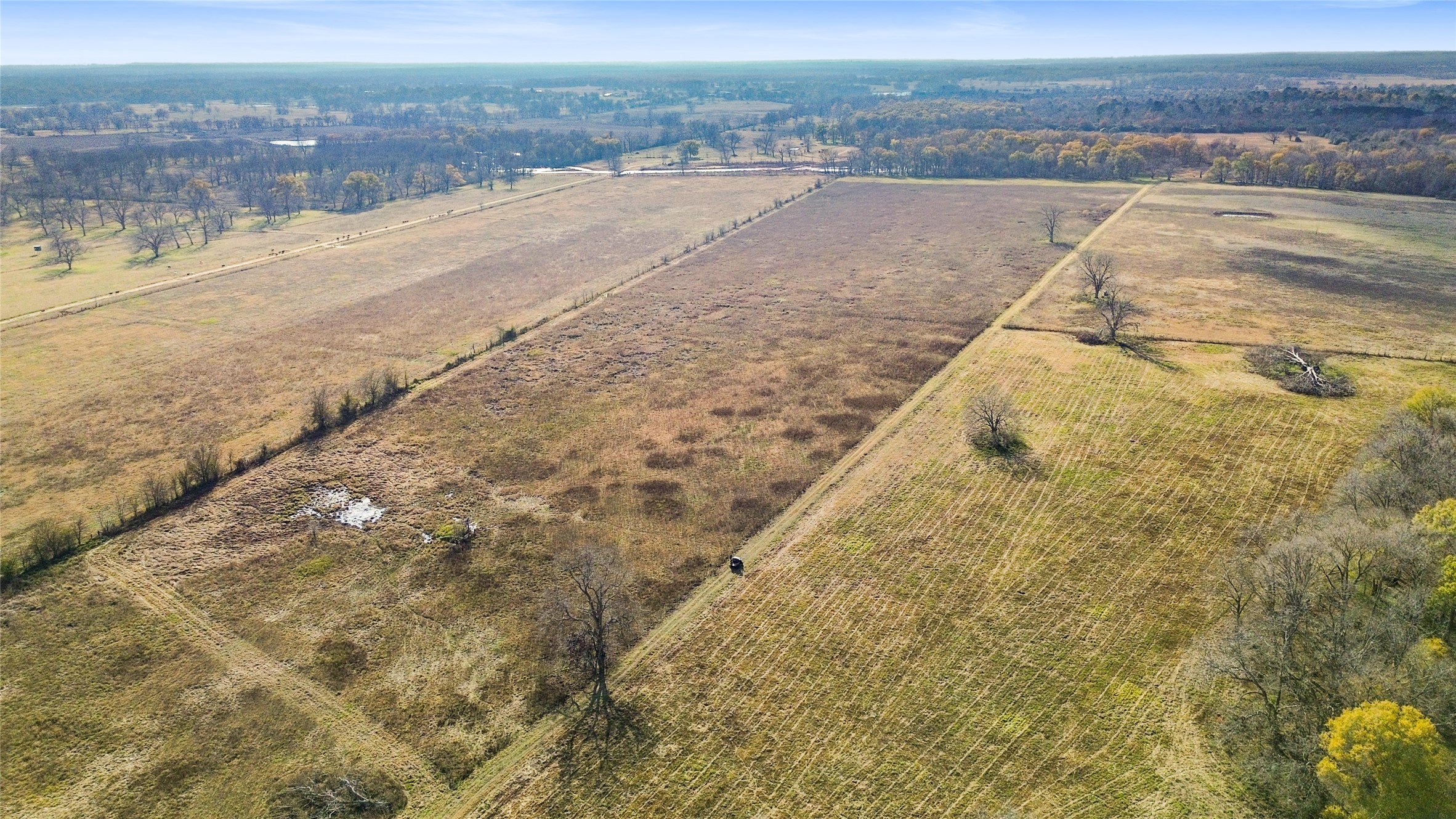 1350 Centerville Tx 75833 Centerville, TX 75833 - Photo 4 of 34
