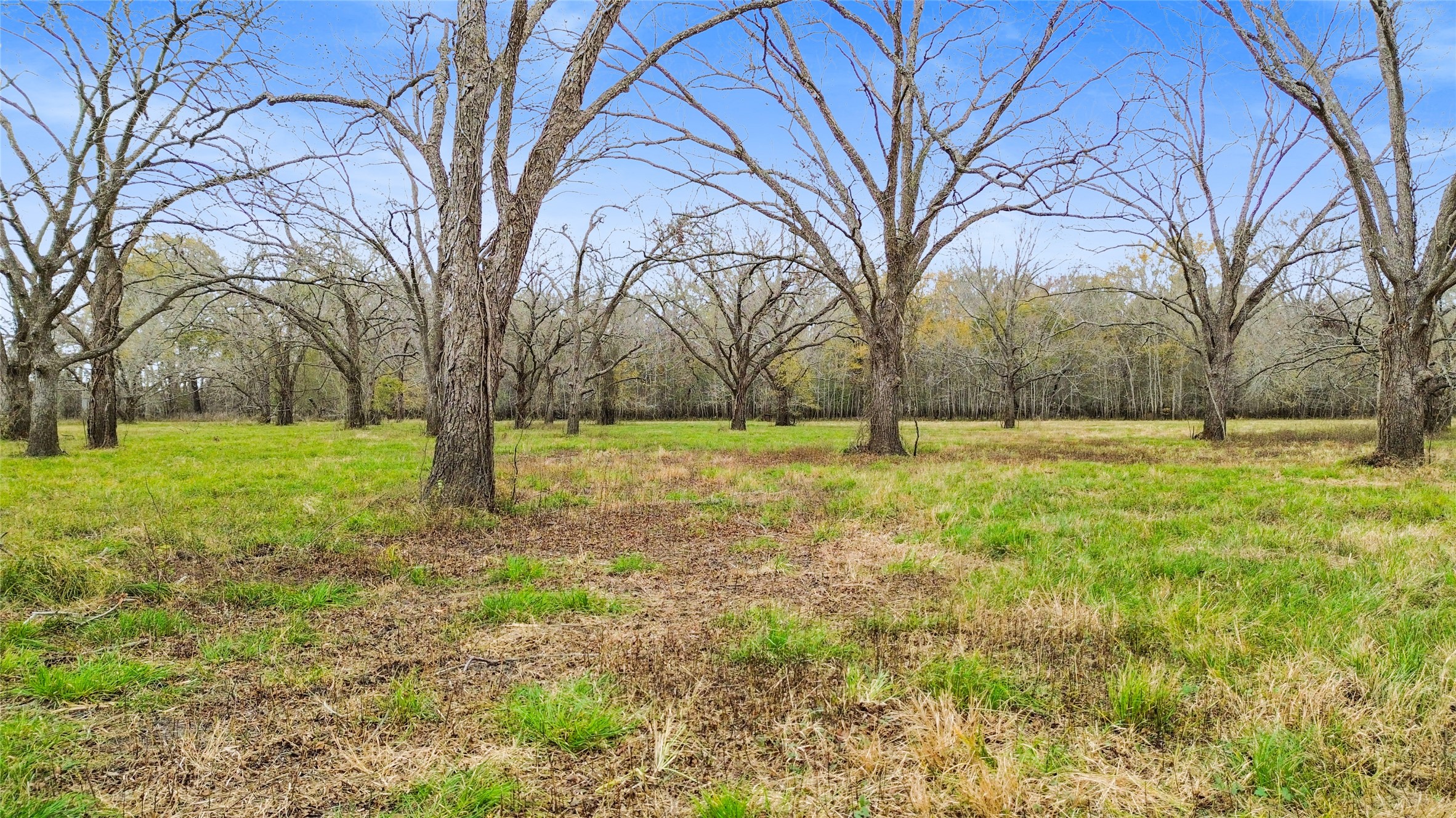 1350 Centerville Tx 75833 Centerville, TX 75833 - Photo 10 of 34 a house view with yard