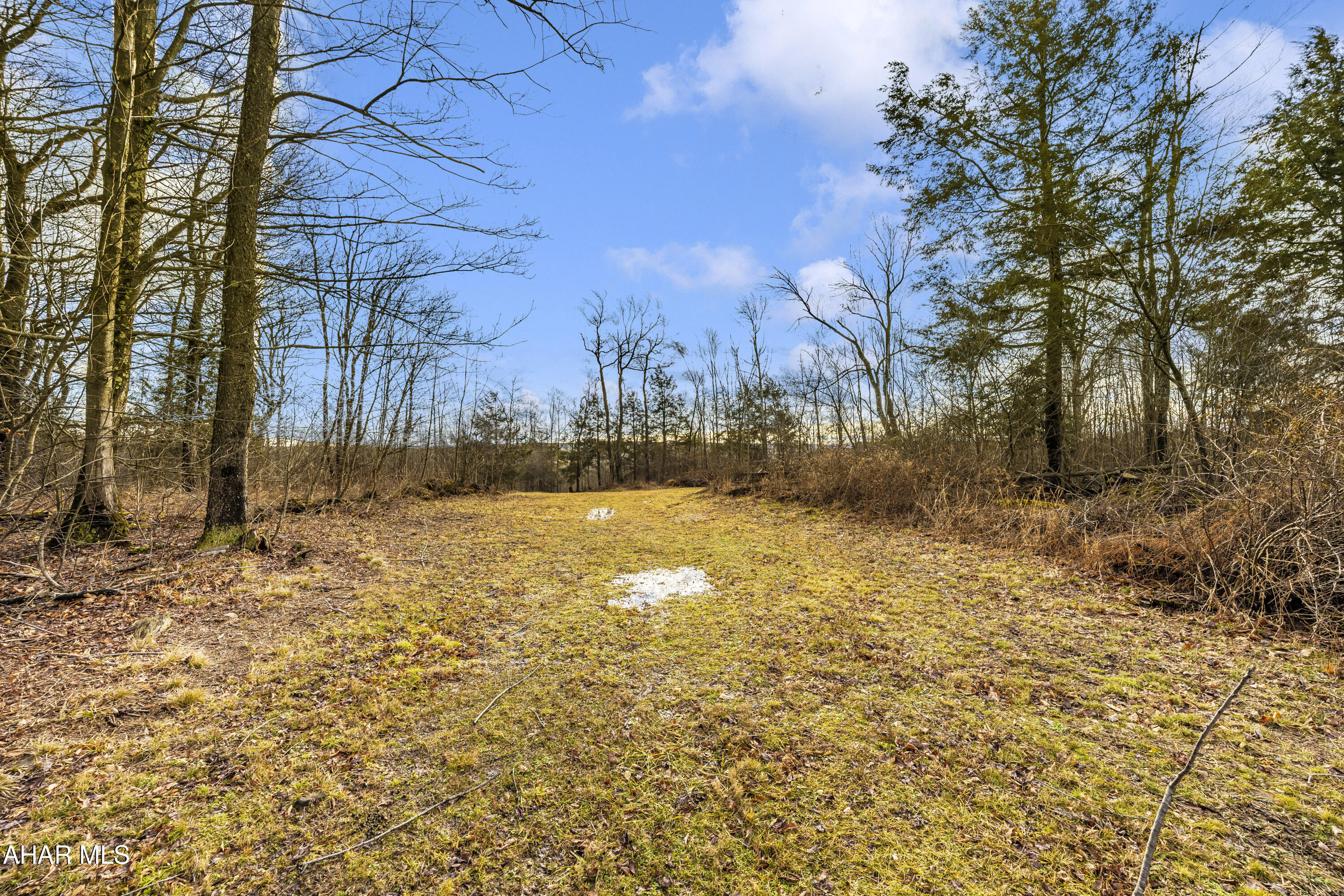 0 Lot 6 Mountain Road Road Lilly, PA 15938 - Photo 31 of 33
