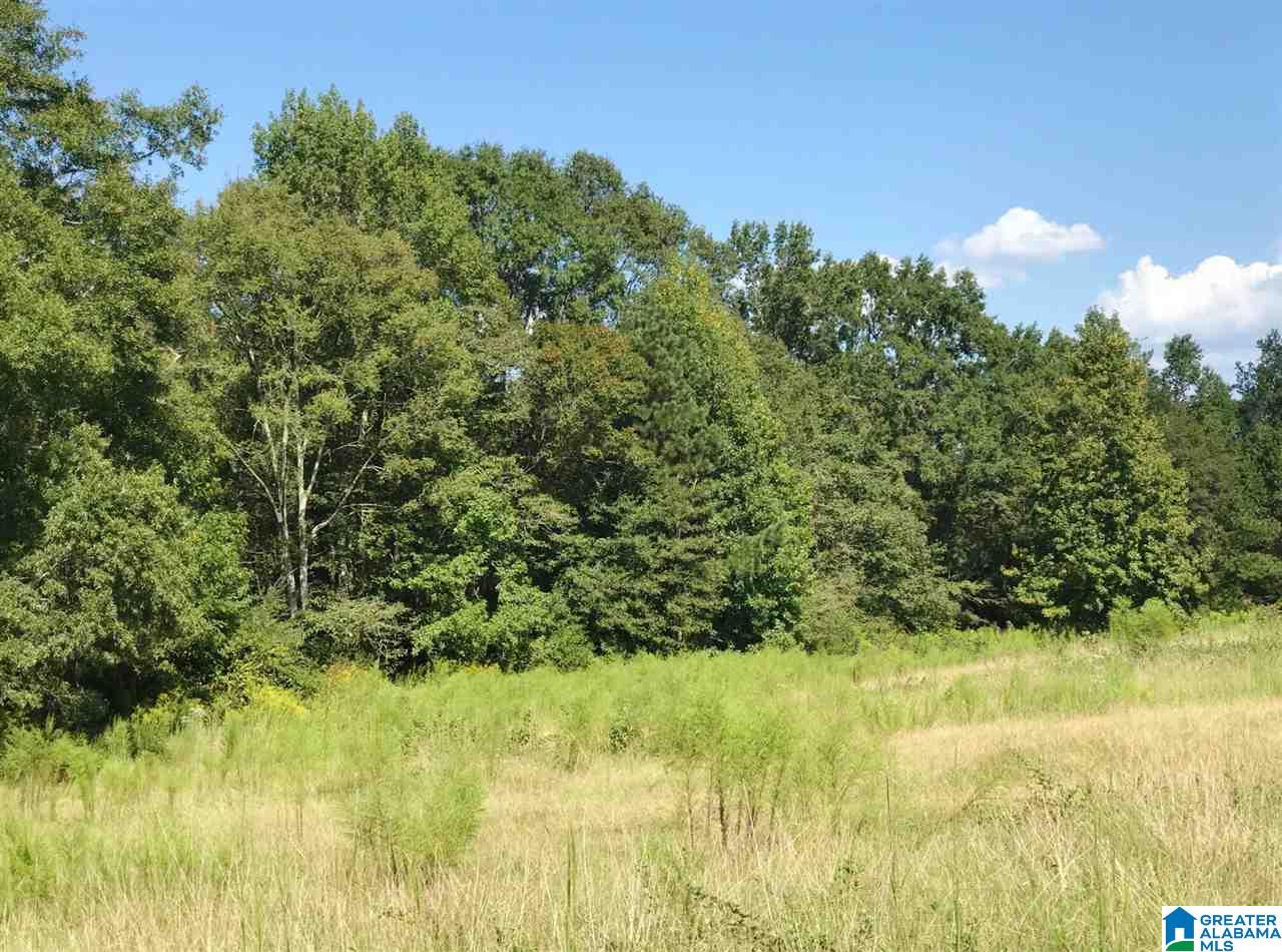 1525 Chelsea Road, Unit 1525 Columbiana, AL 35051 - Photo 19 of 33