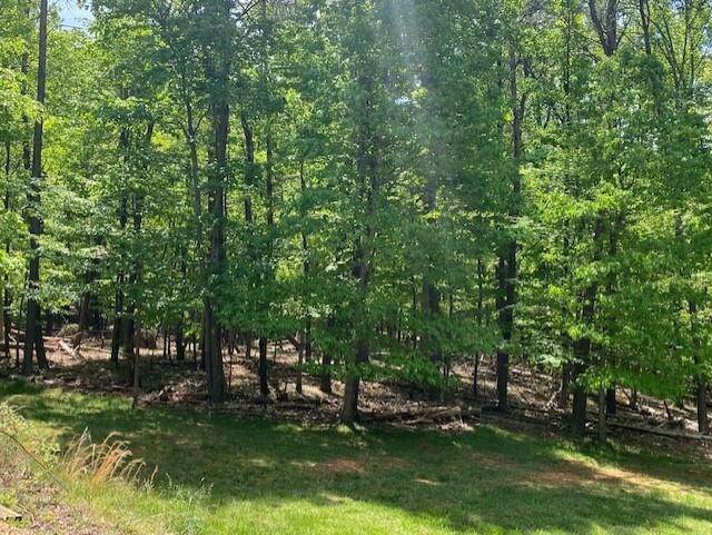 0 Dan Robin Road Salem, VA 24153 - Photo 1 of 2 Lot 1, Dan Robin Rd.