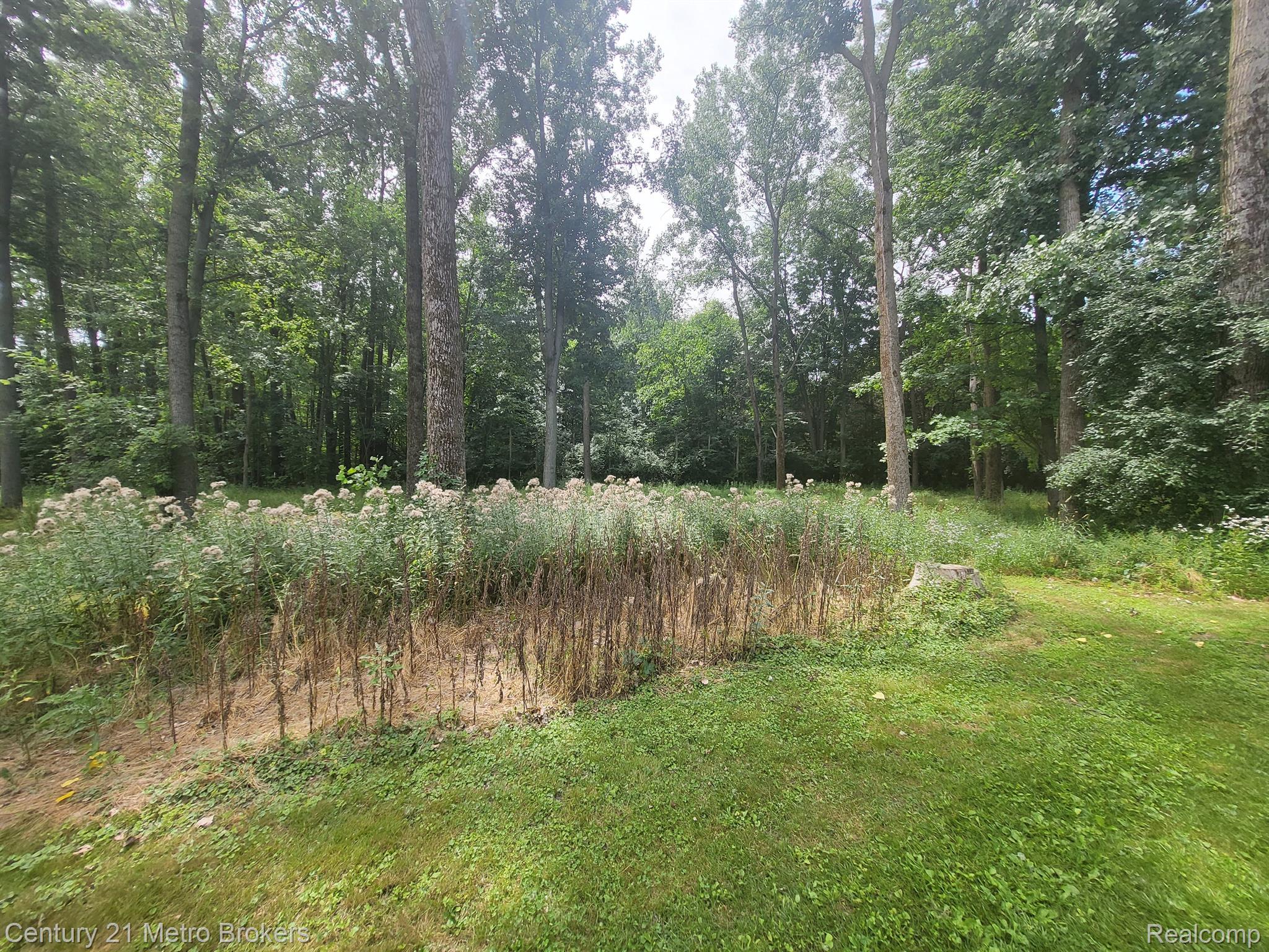 4661 Murphy Lake Road Millington, MI 48746 - Photo 29 of 33 Gallery Image 29