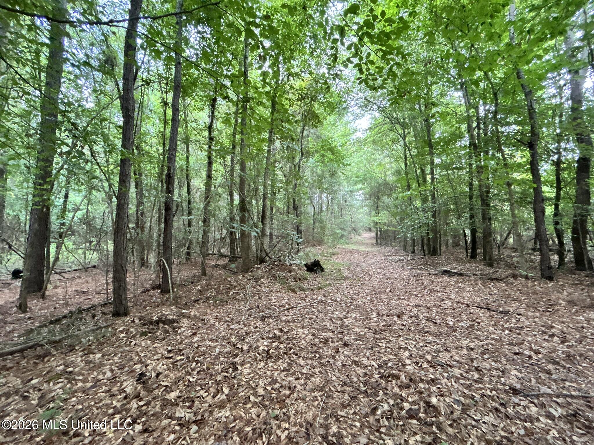 Jayess Road Jayess, MS 39641 - Photo 40 of 65 IMG_9780