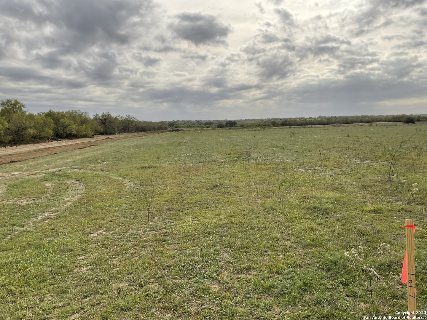 128 Sylas Hayes Loop Pleasanton, TX 78064 - Photo 1 of 24 a view of a lake view