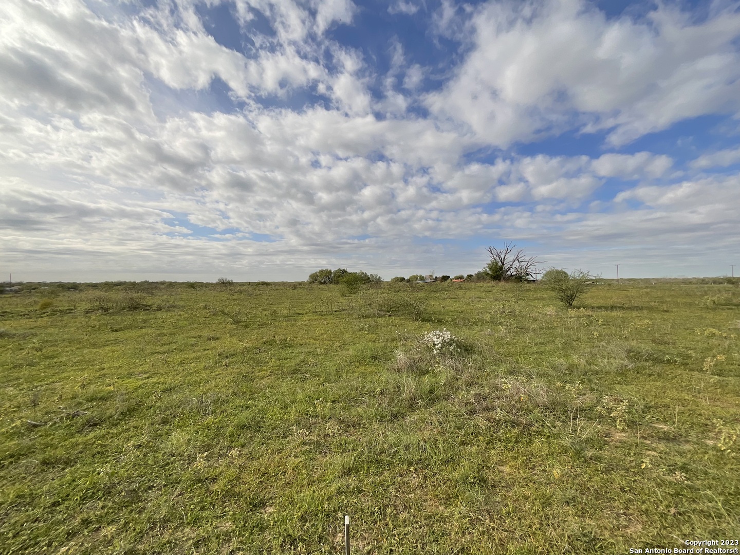 128 Sylas Hayes Loop Pleasanton, TX 78064 - Photo 11 of 24 a view of an ocean