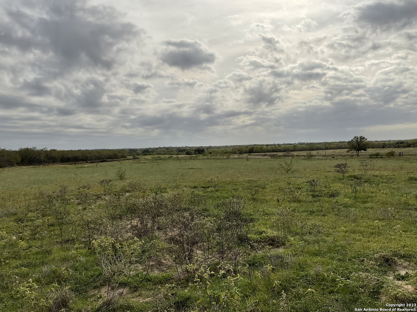 128 Sylas Hayes Loop Pleasanton, TX 78064 - Photo 4 of 24 a view of an ocean