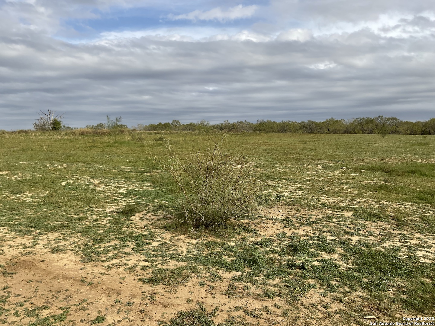 128 Sylas Hayes Loop Pleasanton, TX 78064 - Photo 8 of 24 a view of an ocean