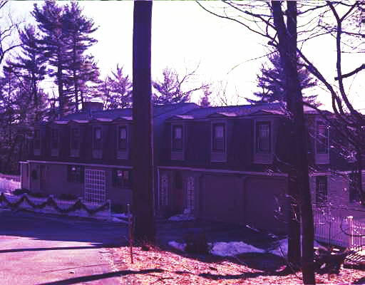 a view of a house with a tree