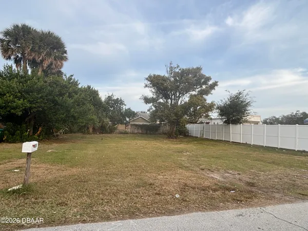 a view of a yard