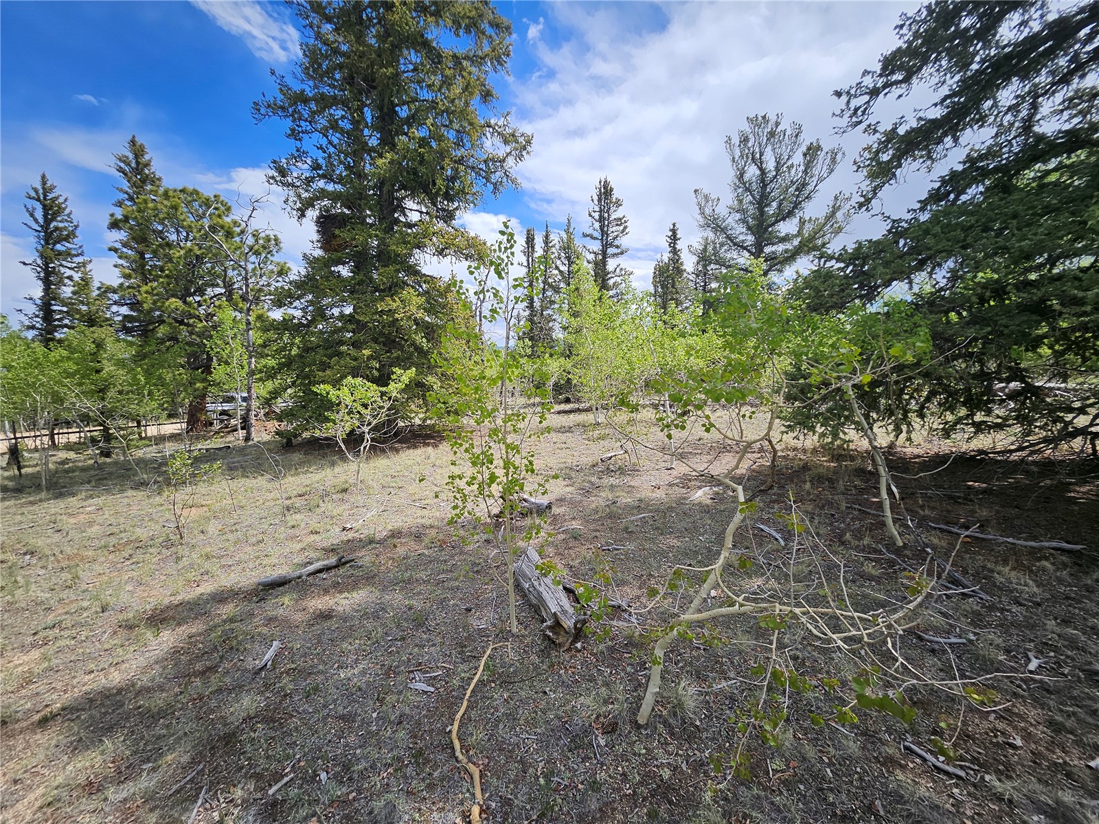 412 Smith And Wesson Road Como, CO 80432 - Photo 22 of 50