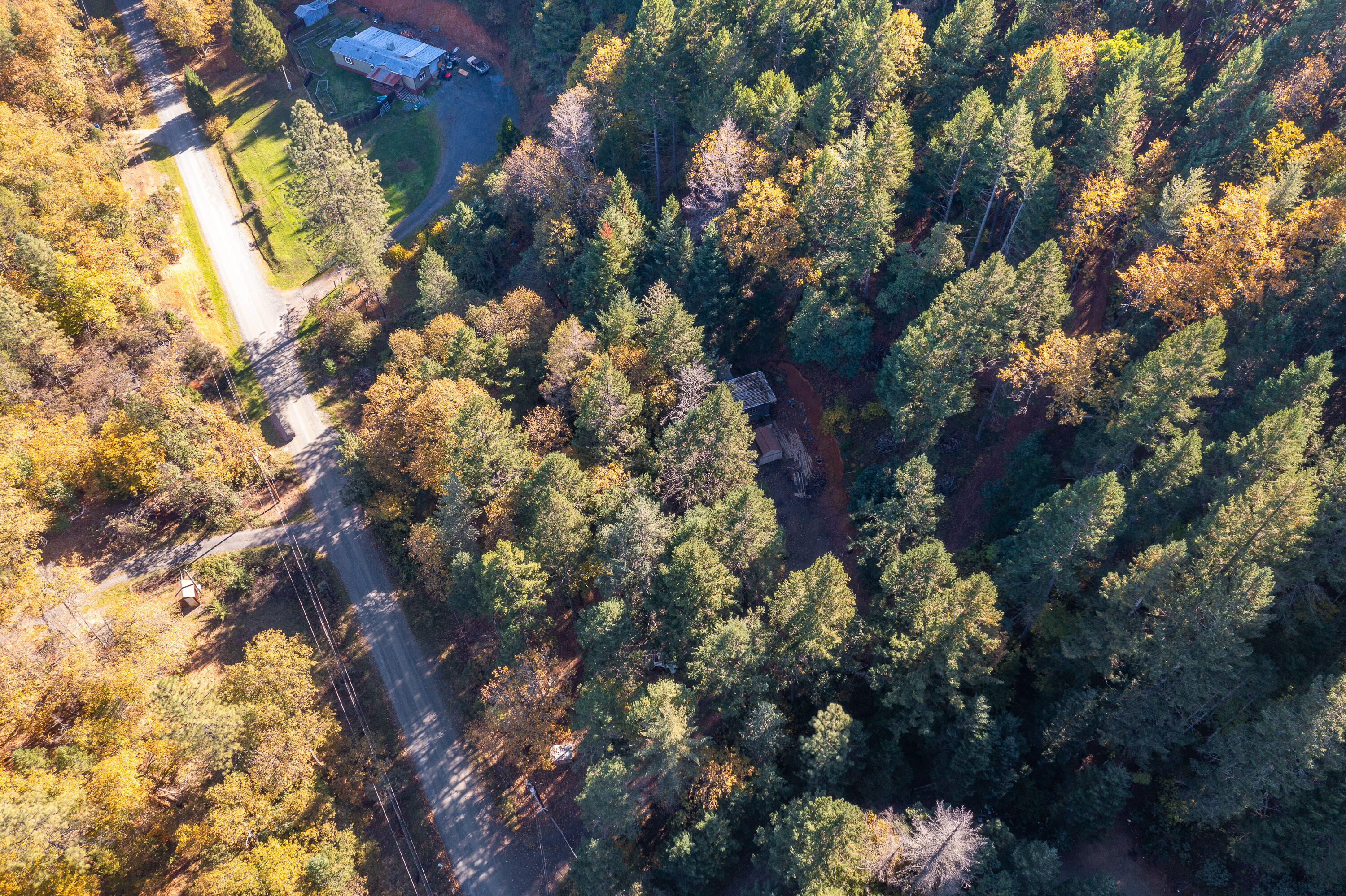 617 Glendon Road Cave Junction, OR 97523 - Photo 27 of 33 DRONE