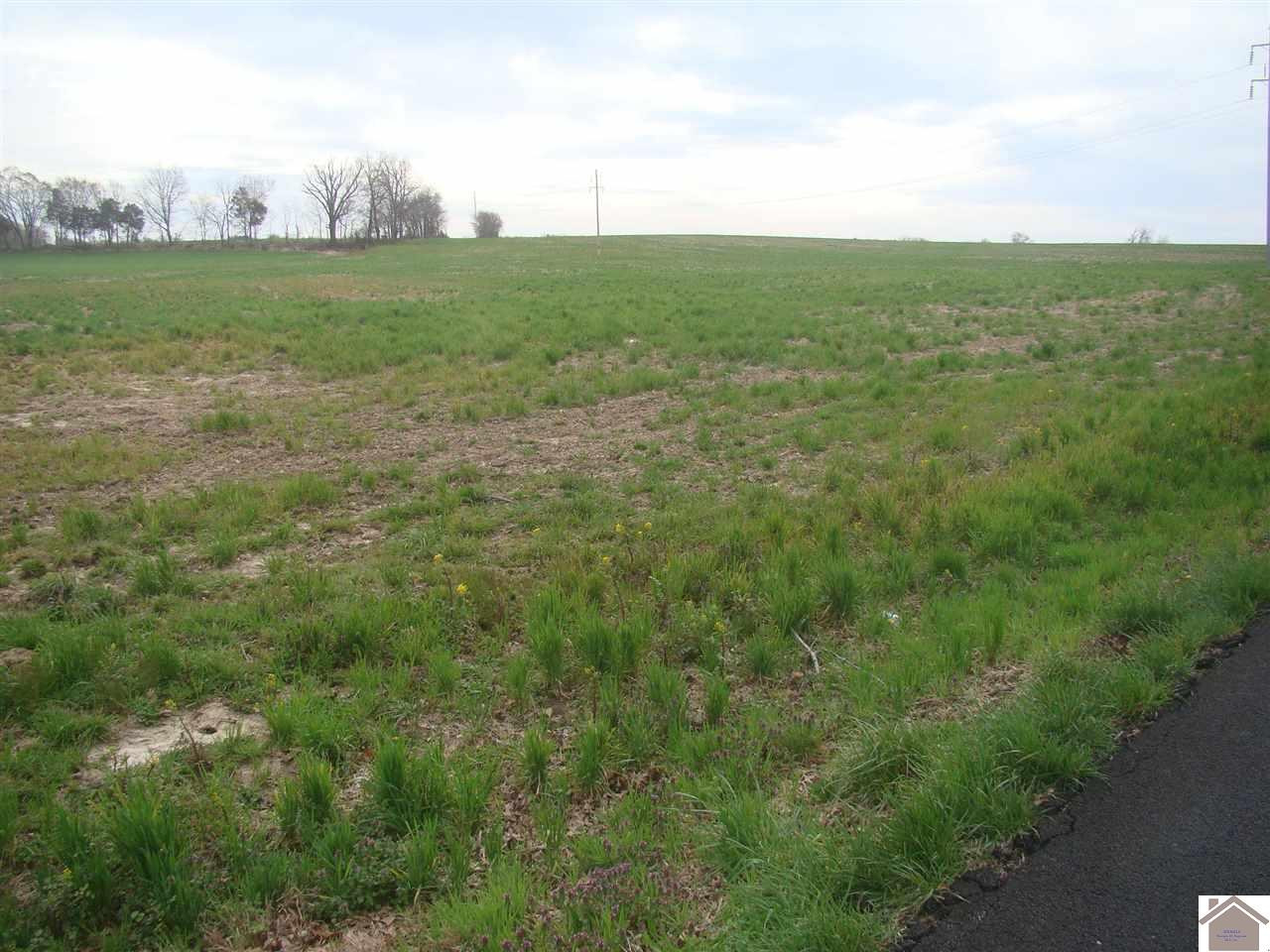 10 Holmes Cook Road Princeton, KY 42445 - Photo 1 of 1 Photo 1