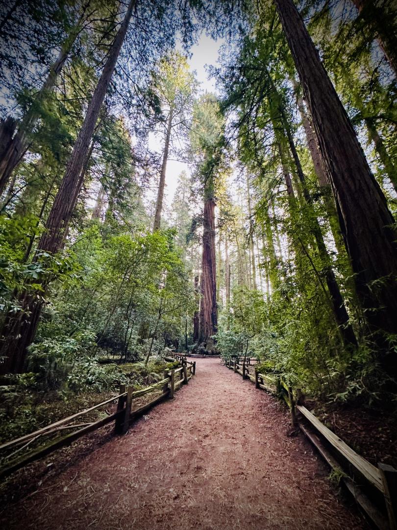 8684 Hihn Road Ben Lomond, CA 95005 - Photo 46 of 55