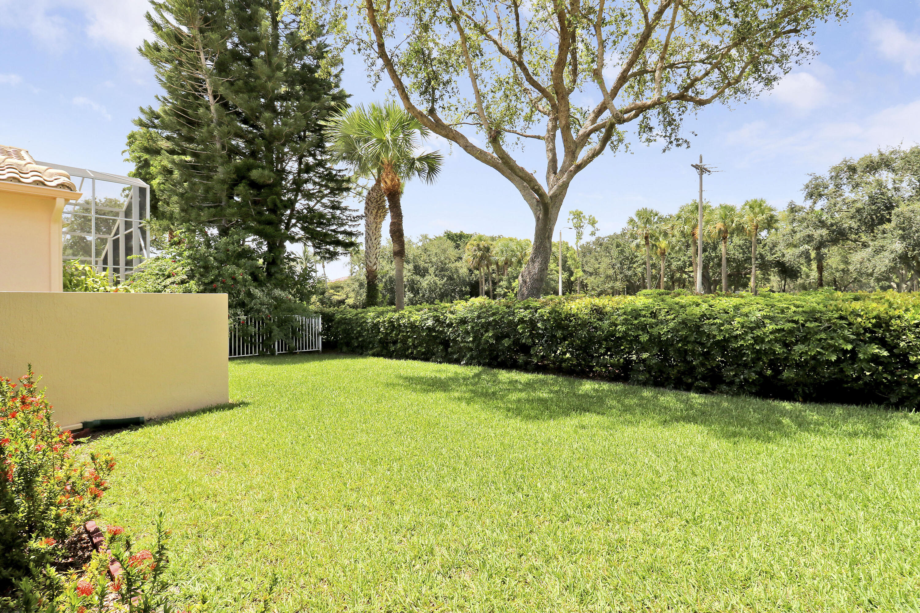 6565 Garde Road Boynton Beach, FL 33472 - Photo 21 of 54 a view of a backyard with plants and large trees