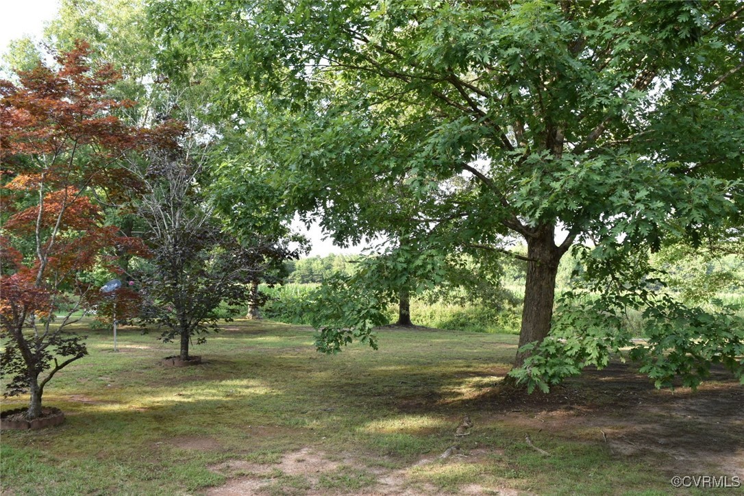 3023 Mt Laurel Road Clover, VA 24534 - Photo 6 of 26 a view of backyard with green space