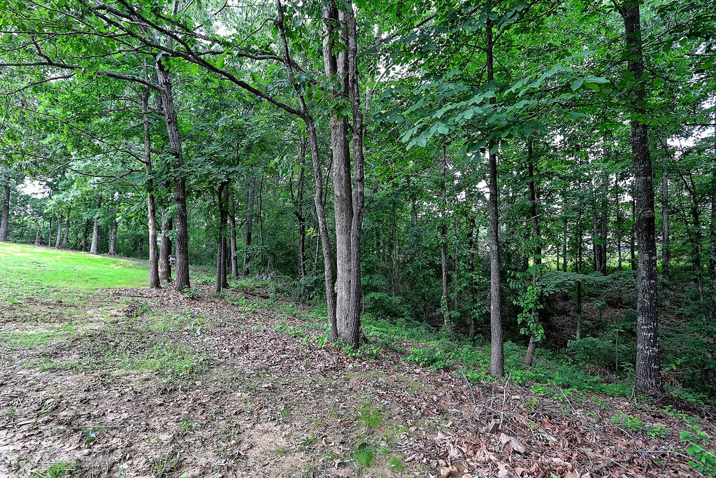 111 Heritage Hills Lane Hohenwald, TN 38462 - Photo 44 of 48 a view of outdoor space and green space