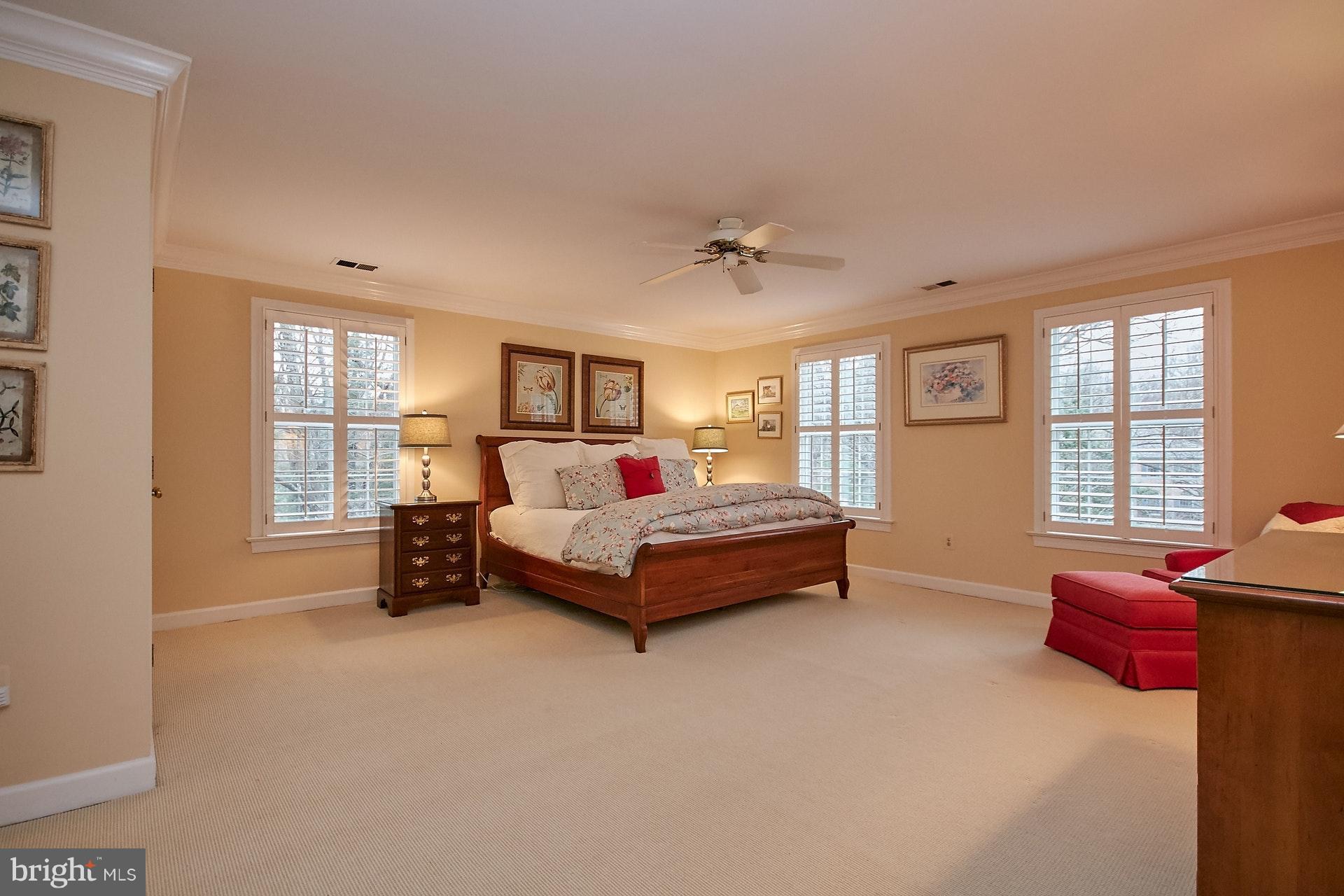 734 Springvale Road Great Falls, VA 22066 - Photo 15 of 30 Light-filled and big