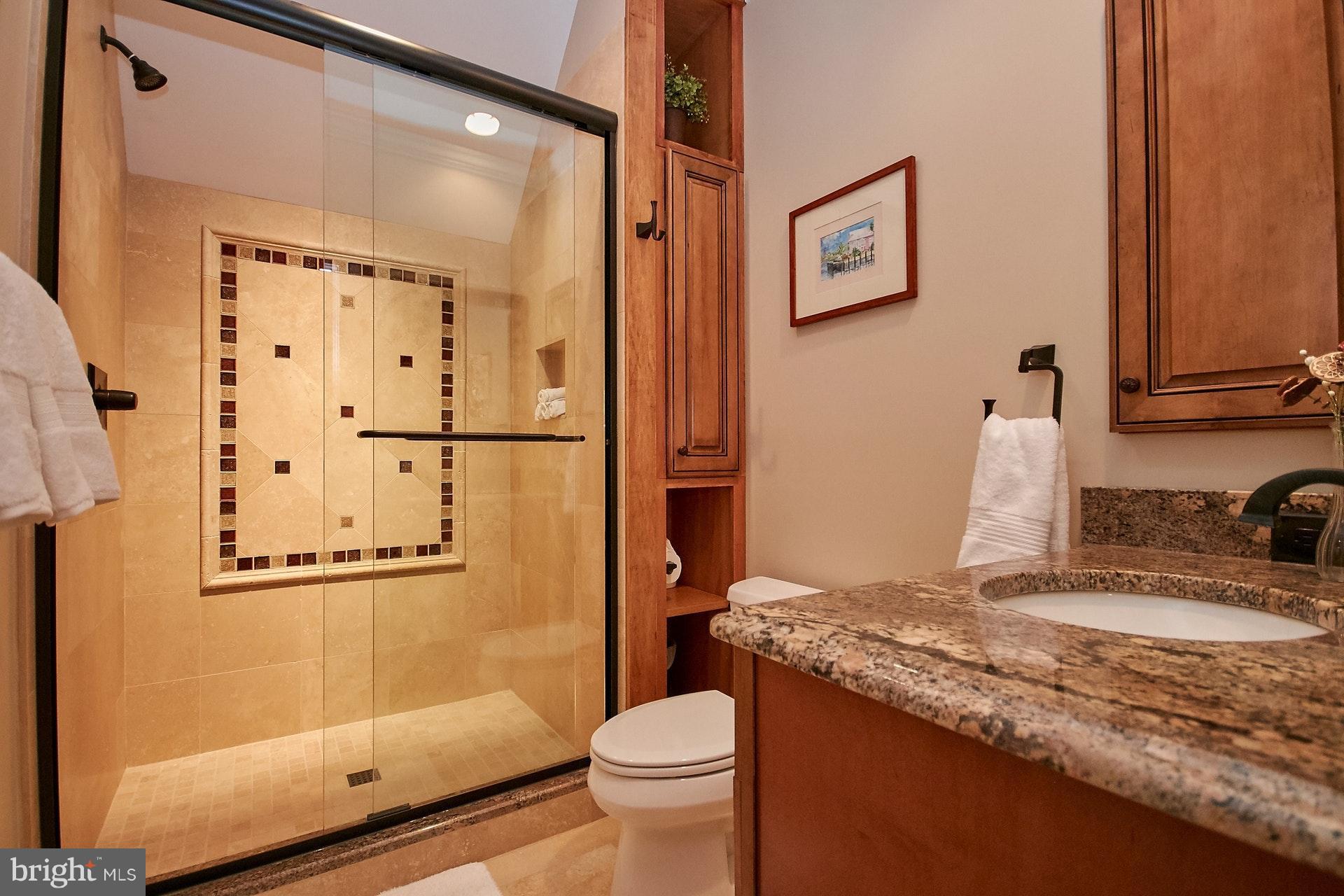 734 Springvale Road Great Falls, VA 22066 - Photo 22 of 30 Renovated en-suite