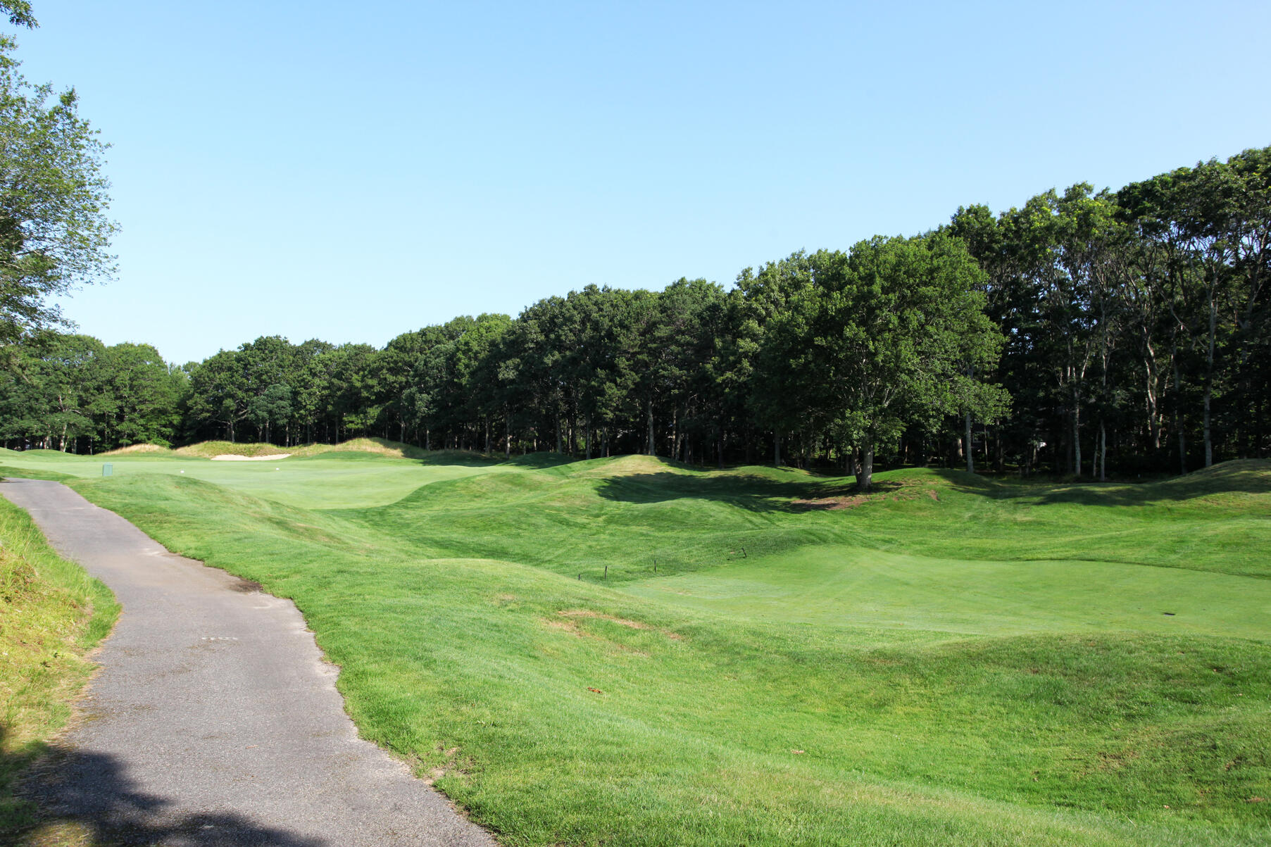 101 Reflection Drive Sandwich, MA 02563 - Photo 34 of 37 a view of a green field with wooden fence