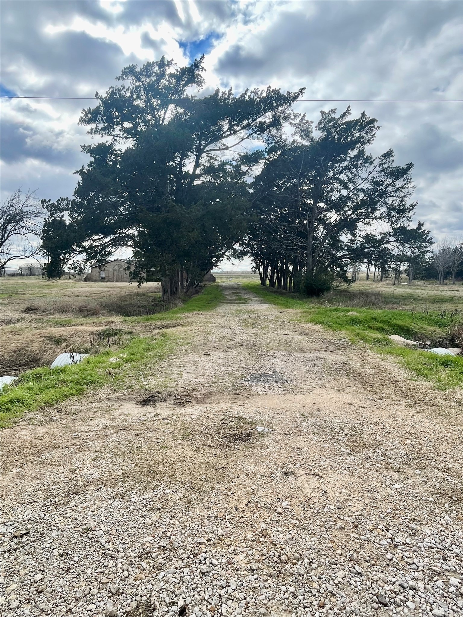 185 8th Street Van Vleck, TX 77482 - Photo 3 of 3 a view of a yard with an outdoor space