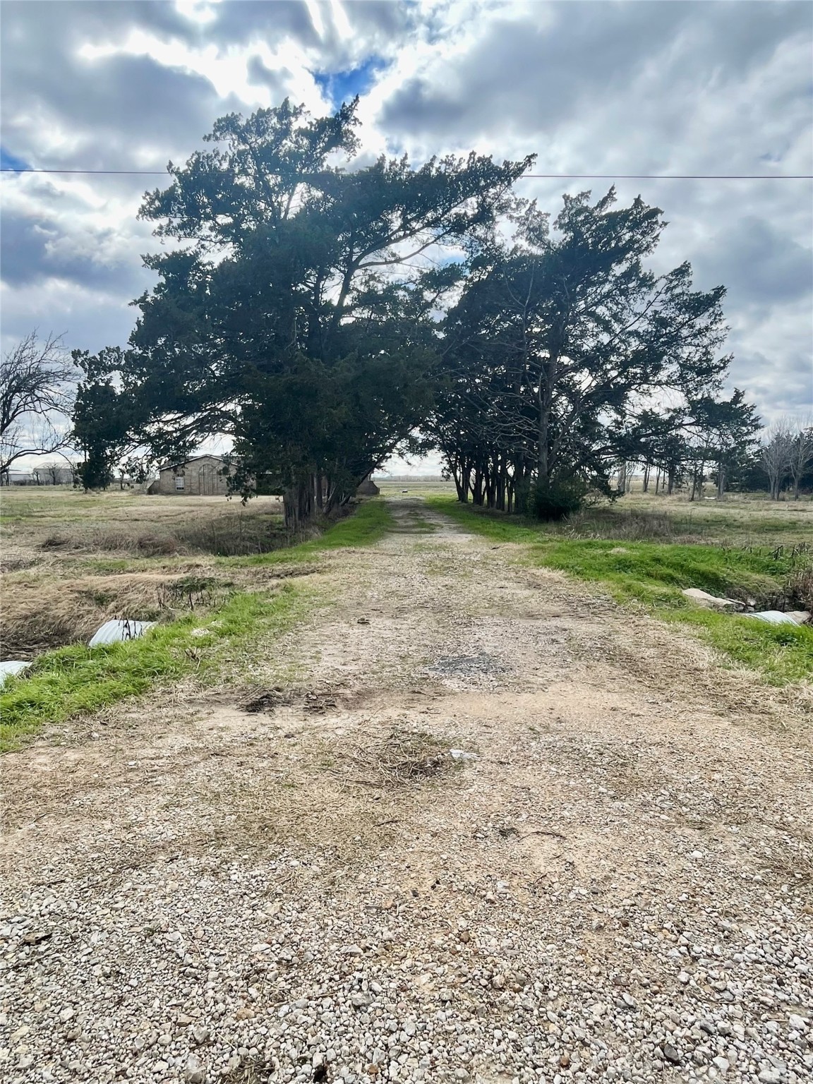 185 8th Street Van Vleck, TX 77482 - Photo 3 of 3 a view of a yard with an outdoor space