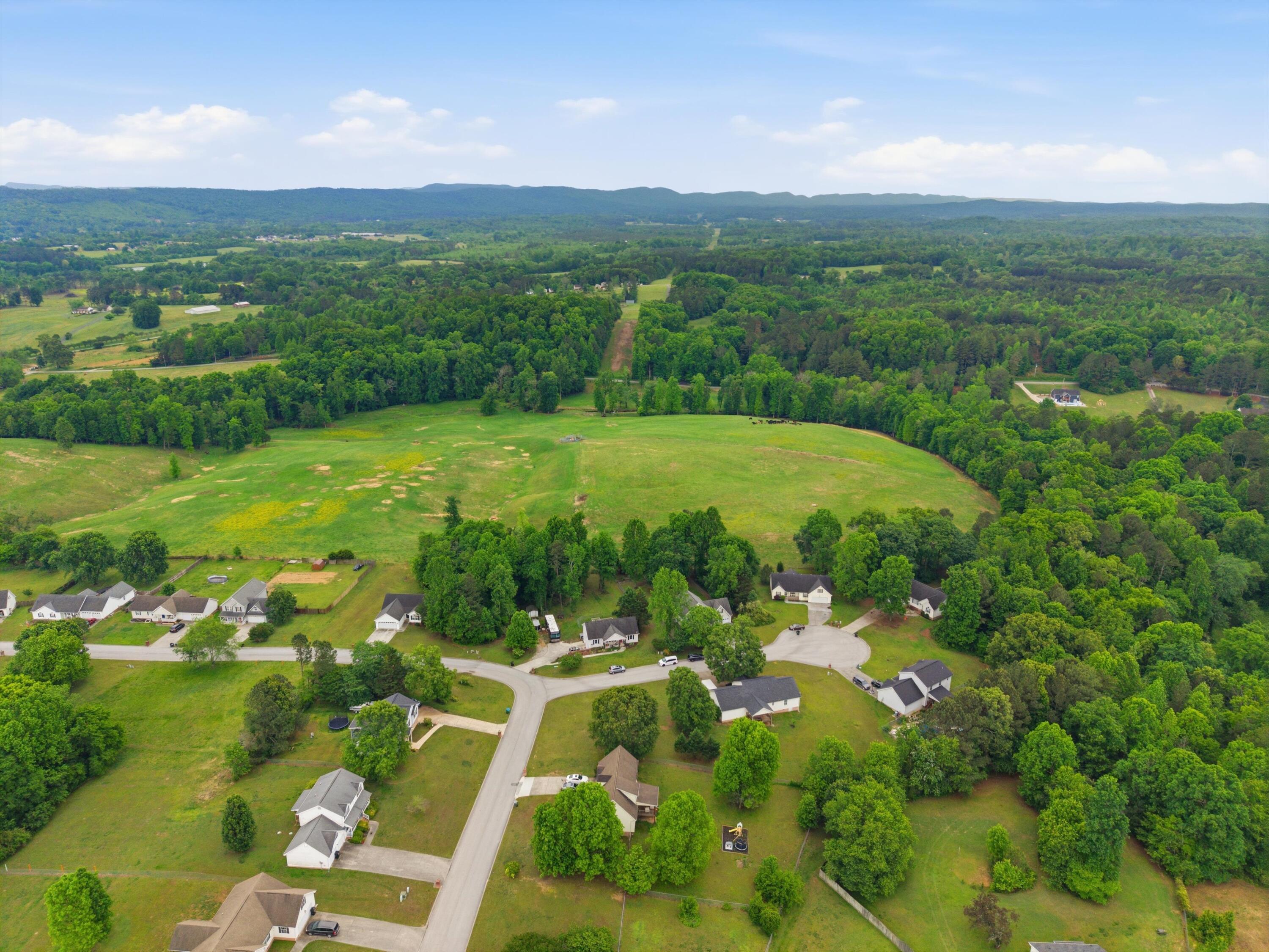 22 Whitlestick Drive Ringgold, GA 30736 - Photo 29 of 31 32-22WhitlestickDr-28