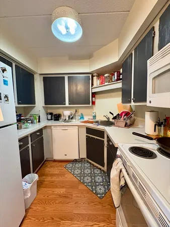 $4,100 | 125 Pleasant Street, Unit 308, Brookline, MA 02446
