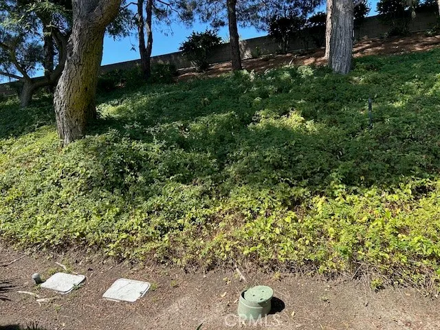 a view of a garden with a tree