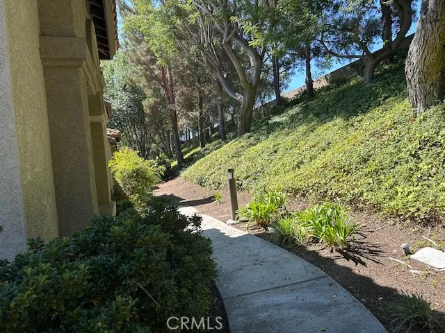 a view of a garden with plants