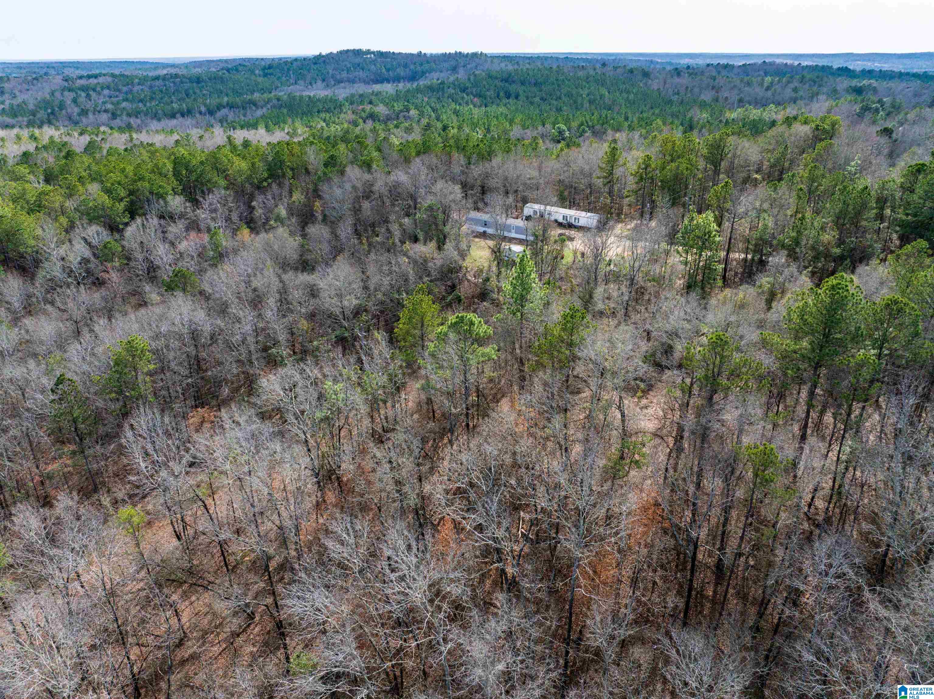 0 Flat Rock Road Tallassee, AL 36078 - Photo 10 of 13