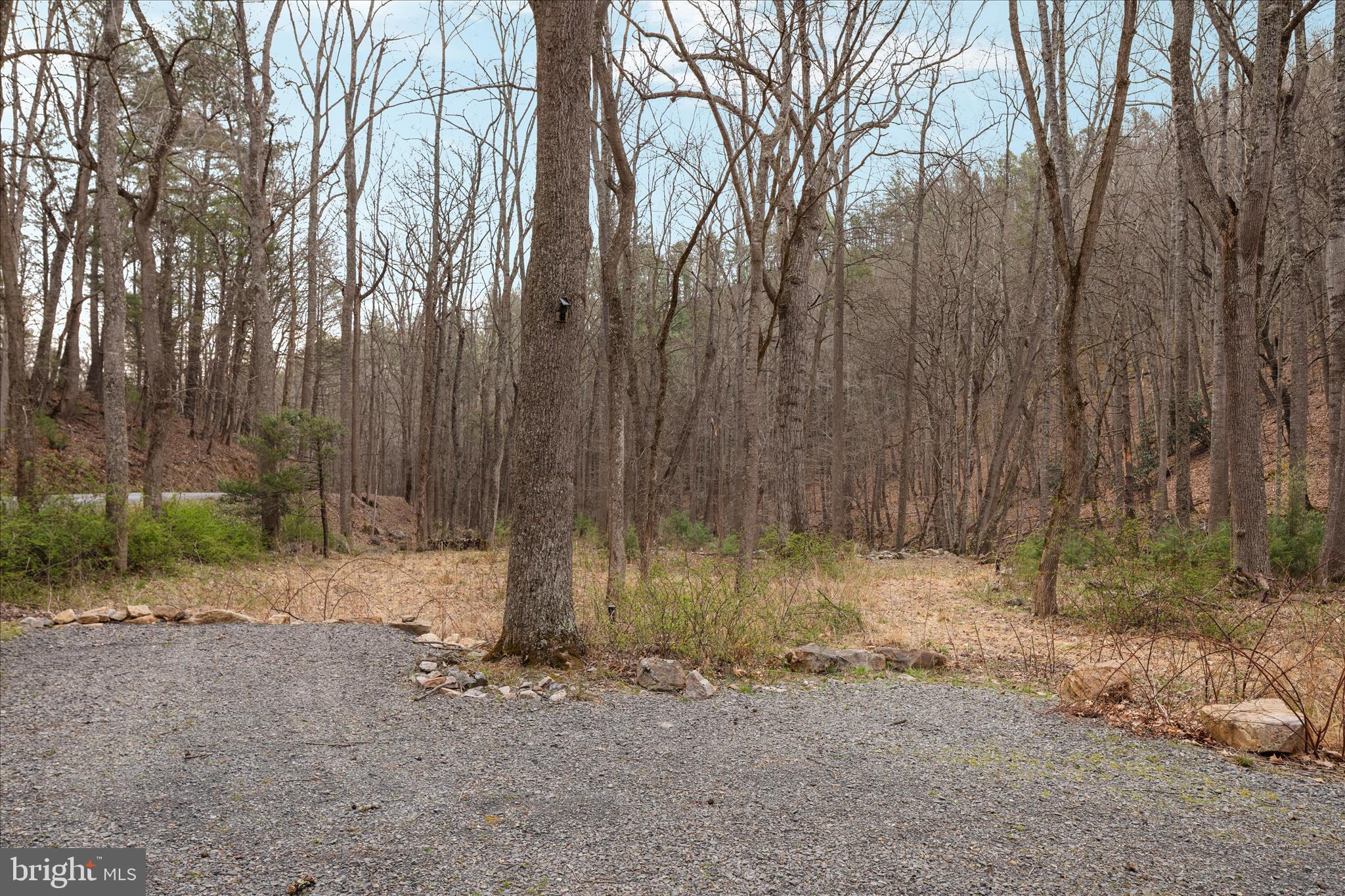 949 Dumpling Run Road Moorefield, WV 26836 - Photo 22 of 41 2E6A9436_949 Dumpling Run Rd - Absolute Altitude -