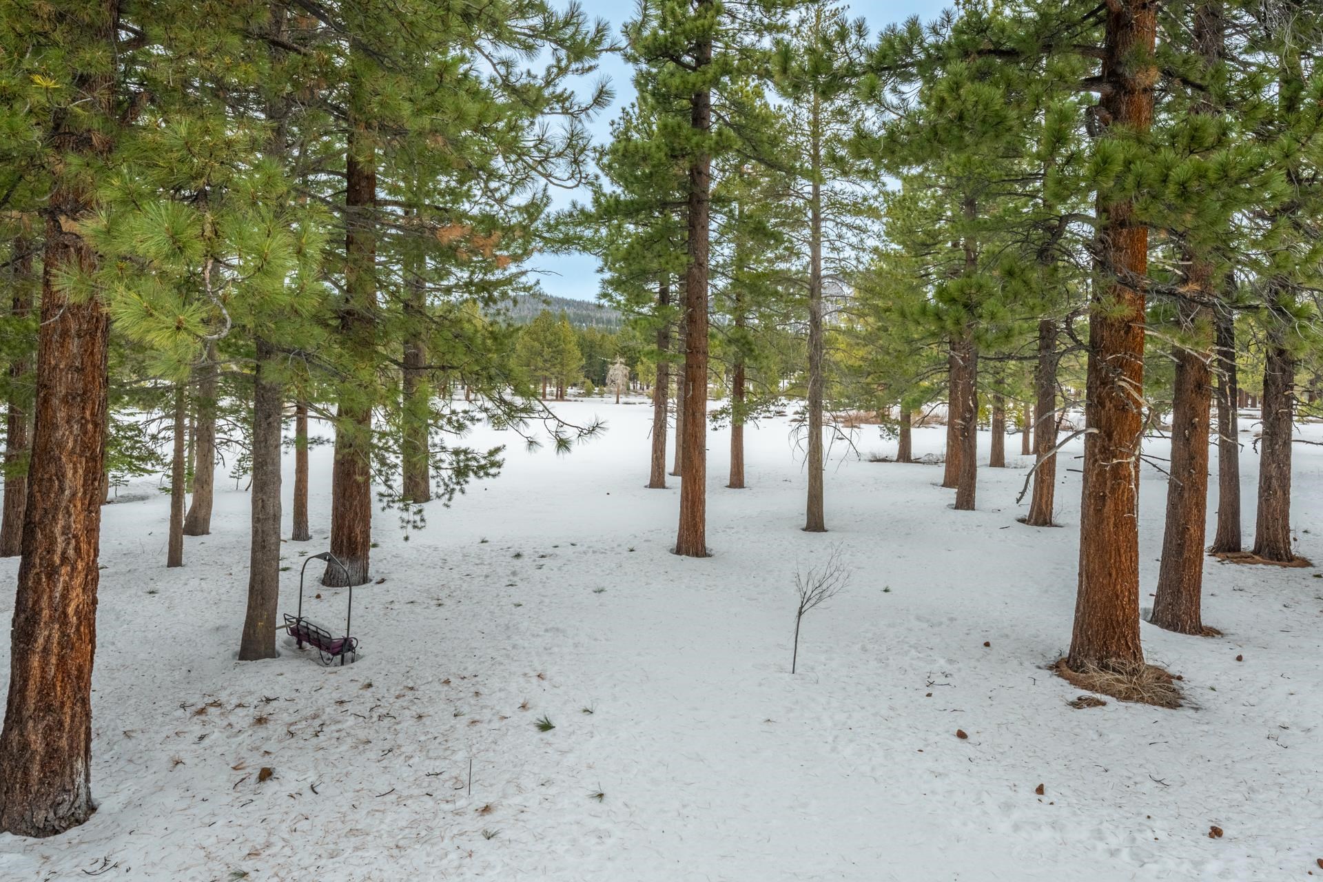 244 Ridge Way Mammoth Lakes, CA 93546 - Photo 27 of 49 View of yard layered in snow