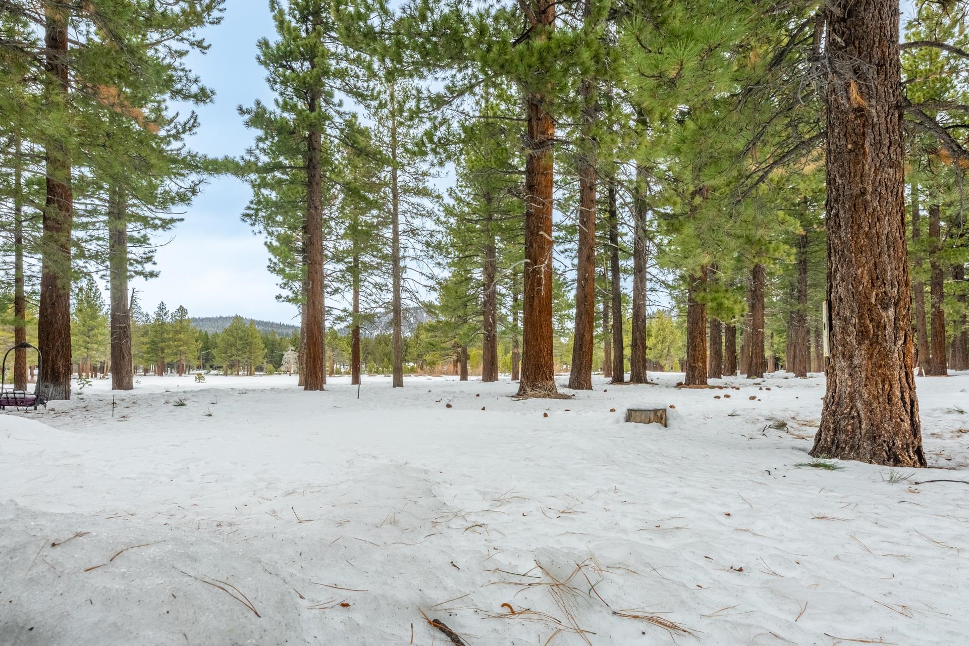 244 Ridge Way Mammoth Lakes, CA 93546 - Photo 46 of 49 View of snowy yard