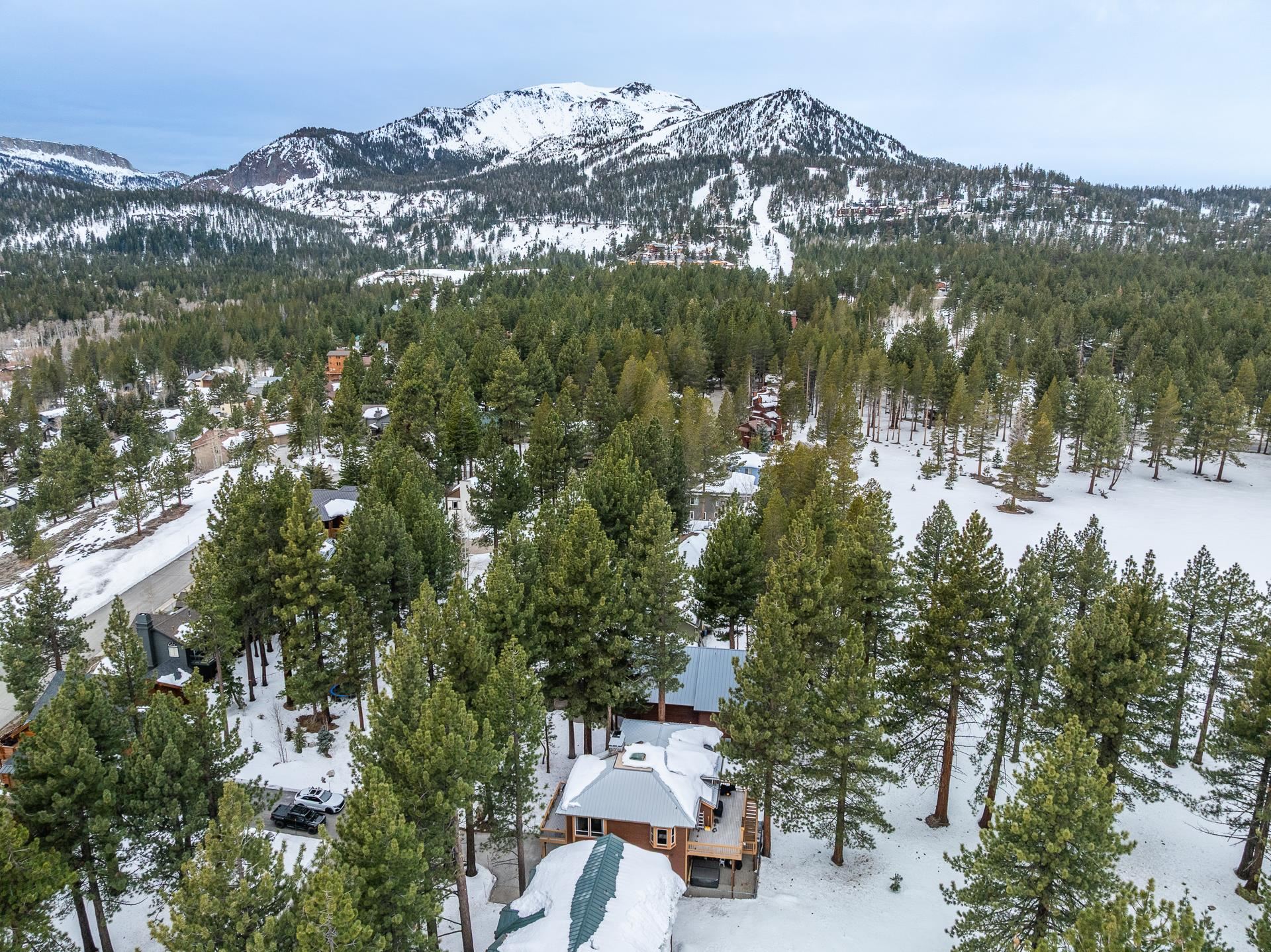 244 Ridge Way Mammoth Lakes, CA 93546 - Photo 48 of 49 Snowy aerial view featuring a mountain view