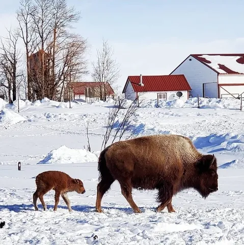 $10,750,000 | 6742 Jackson County Road 24, Coalmont, CO 80430