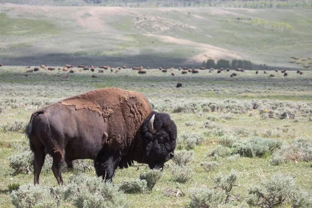 $10,750,000 | 6742 Jackson County Road 24, Coalmont, CO 80430