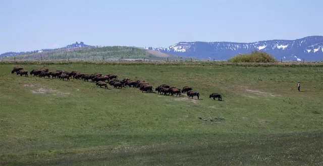 $10,750,000 | 6742 Jackson County Road 24, Coalmont, CO 80430