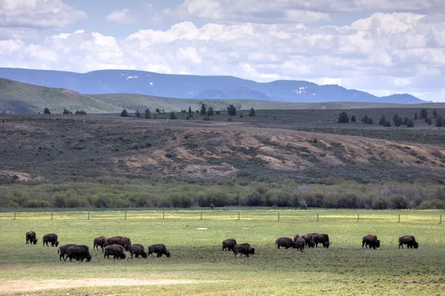 $10,750,000 | 6742 Jackson County Road 24, Coalmont, CO 80430